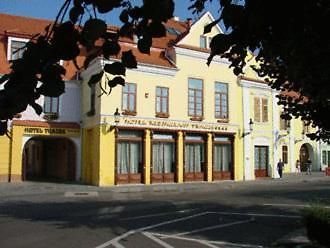 Hotel Traube Медиаш Экстерьер фото